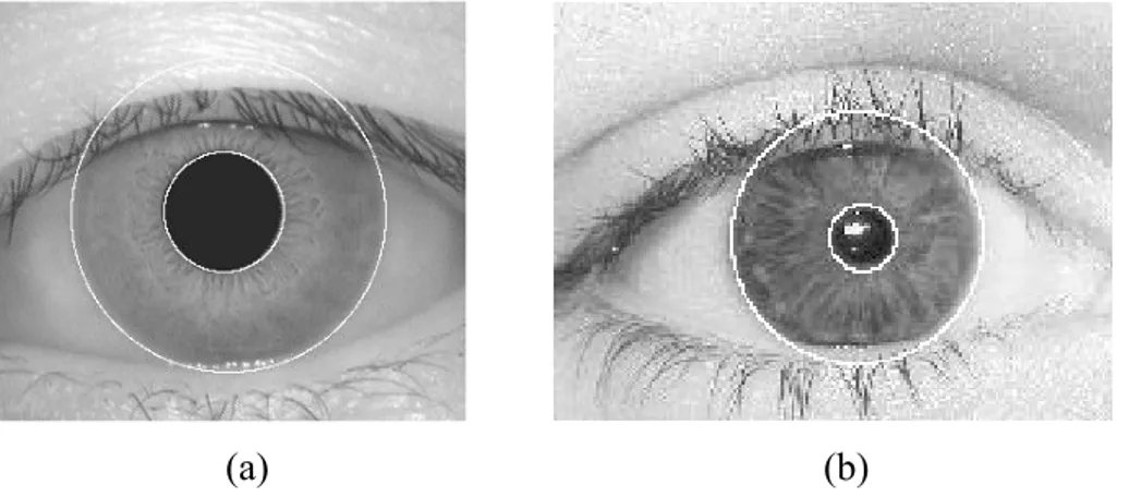 Şekil 5.5 Kenarları doğru tespit edilmiş iris görüntüsü a) CASIA b)UBIRIS 