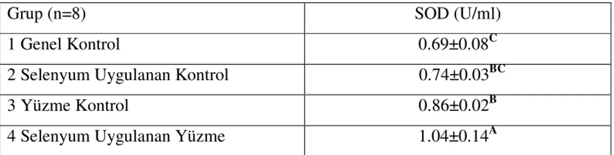 Çizelge 3.4. Çalışma Gruplarının Serum SOD Düzeyleri 
