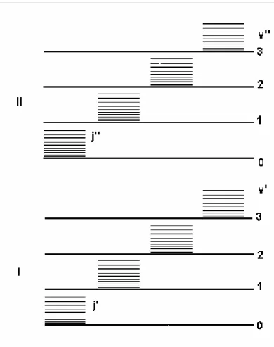 Şekil 2.3 Bir molekülün iki elektronik seviyesi (I, II) ve bu seviyeye ait titreşim (v ' ,v '' ) ve  dönme seviyeleri (j ' , j  '' )
