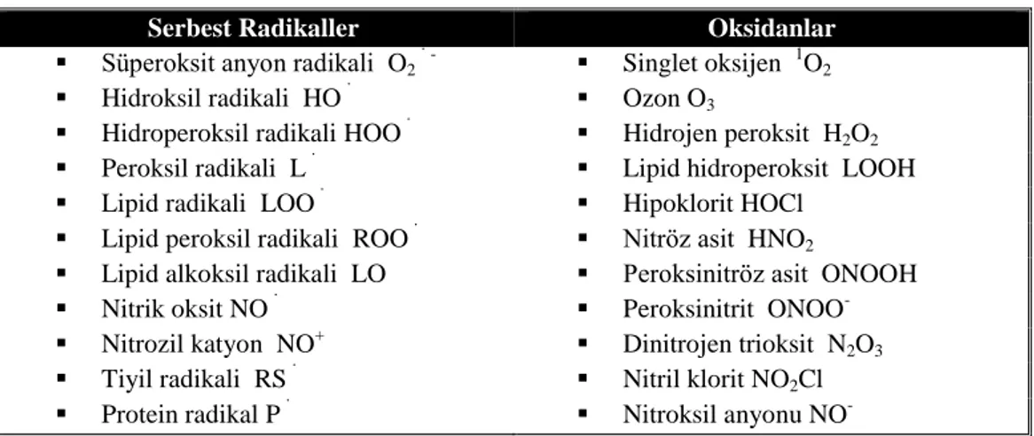 Tablo 2.1. İnsan fizyolojisinde karşılaşılan yaygın serbest radikaller ve oksidanlar 