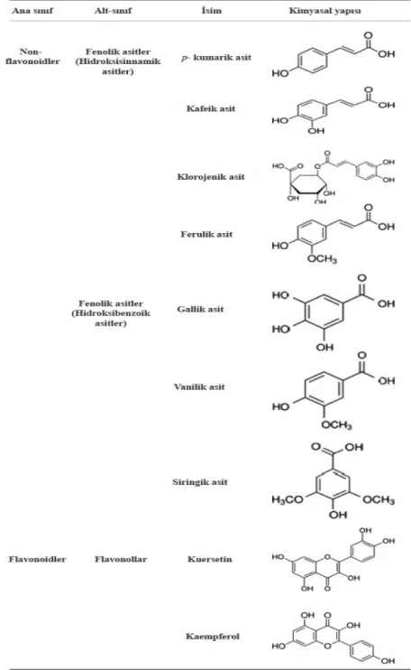Tablo 2.7. Polifenoller ve kimyasal yapıları  