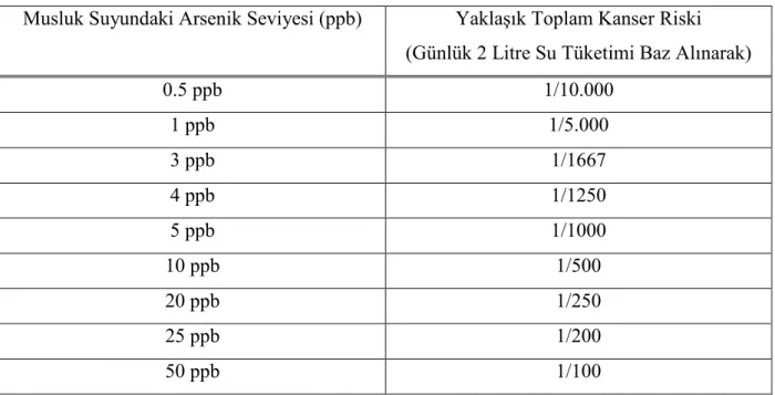 Çizelge 2.1. Kanser Risk Tahminleri 