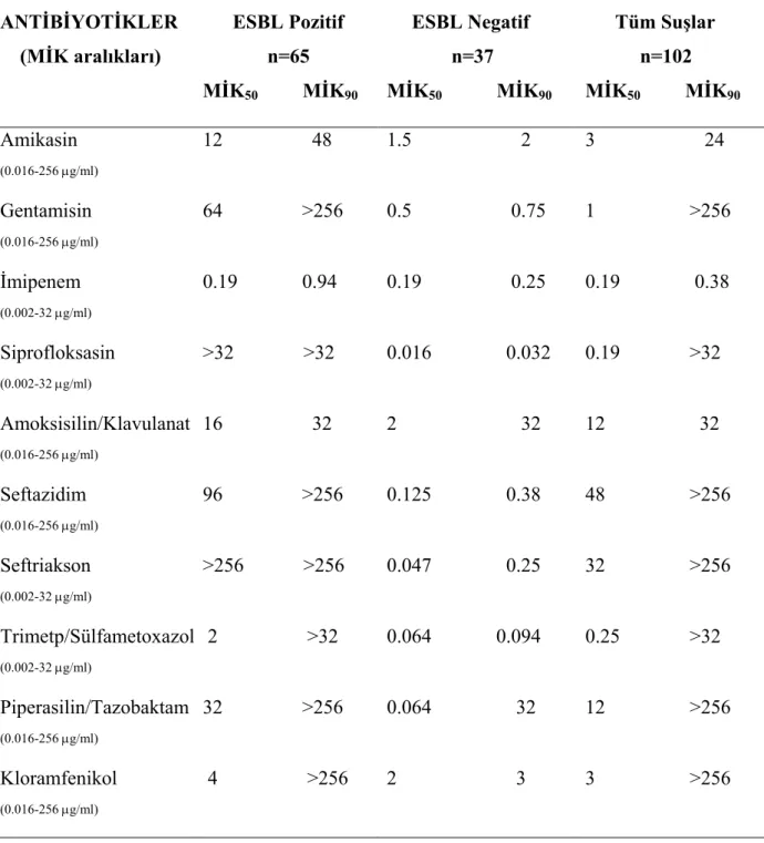Tablo 11.  Klebsiella pneumoniae  İzolatlarının E-Test Yöntemiyle MİK 50  ve MİK 90 Değerleri        ESBL Pozitif               n=65       ESBL Negatif              n=37        Tüm Suşlar            n=102 ANTİBİYOTİKLER     (MİK aralıkları)  MİK 50        