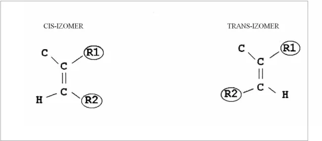 Şekil 2.2. Cis- Trans İzomerliği ( www. biologydaily. com).