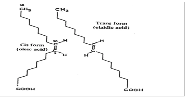 Şekil 2.3. Oleik asit ve Elaidik asit cis-trans izomerliği (www.thepleodiet .com).