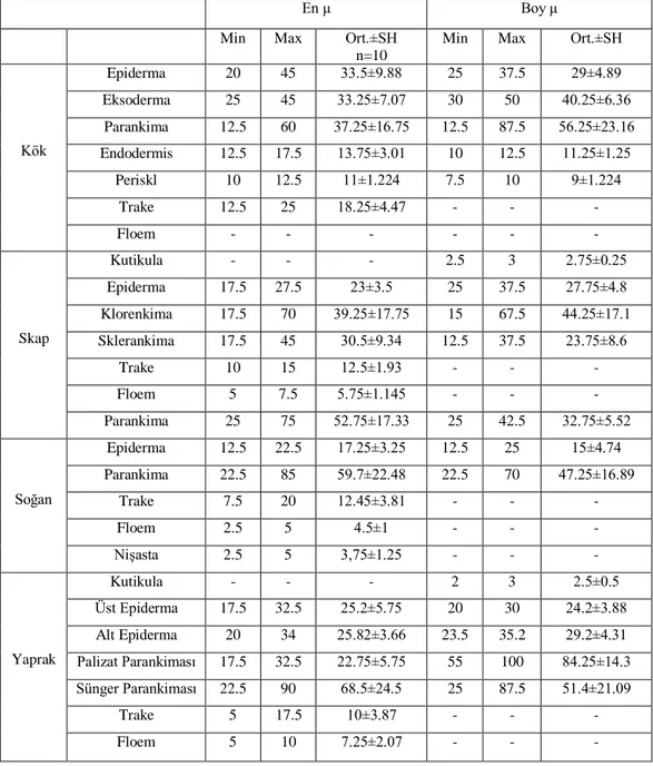 Tablo 2.  M. discolor anatomik karakterlerinin sayısal değerleri 