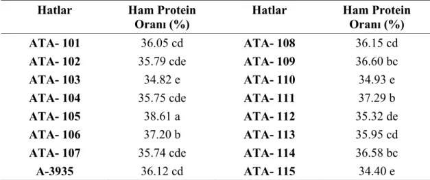 Çizelge 4.7. Denemede Kullanılan Soya Hatlarına Ait Ham Protein oranı (%) ve  Duncan Grupları 