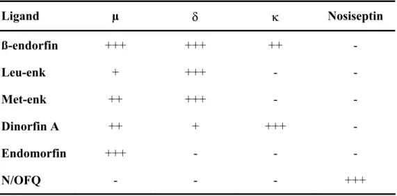 Tablo 2.1.  Bazı opioid peptidler ve reseptörleri (+ : affinite, - : non-affinite) (Johnson ve Lambert  2002)