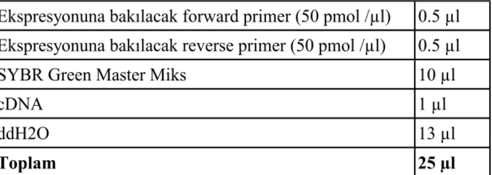 Çizelge 3.2.8.4 SYBR Green ile çalışılan MMP-1, 2 ve TIMP-1 Q-PCR Amplifikasyon Koşulları 