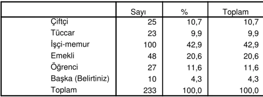 Tablo 5: Meslek Gruplarına Göre Dağılım 