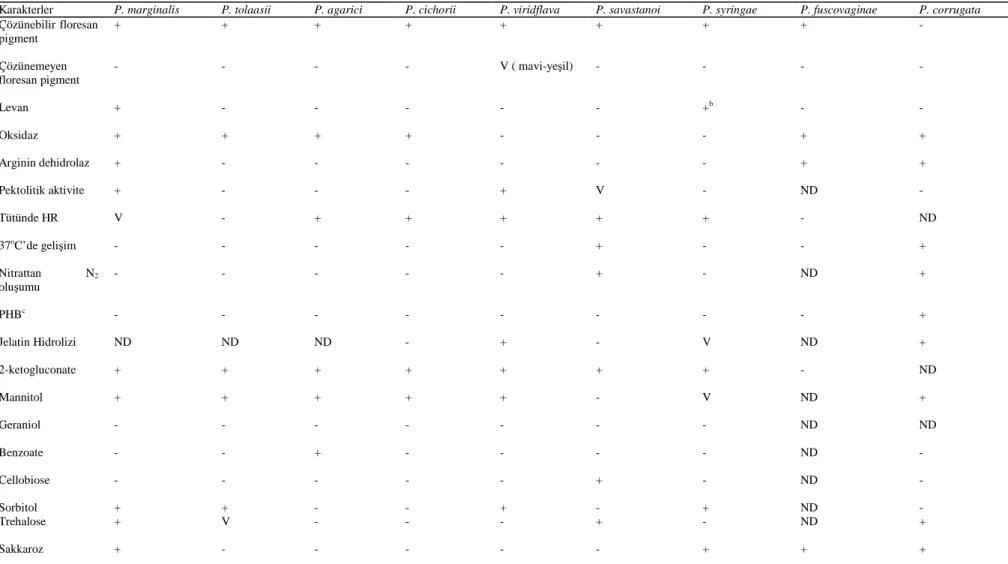 Çizelge 2. Pseudomonas Türlerinin Tanılanmasında Kullanılan Biyokimyasal Testler (Schaad, 2001) 