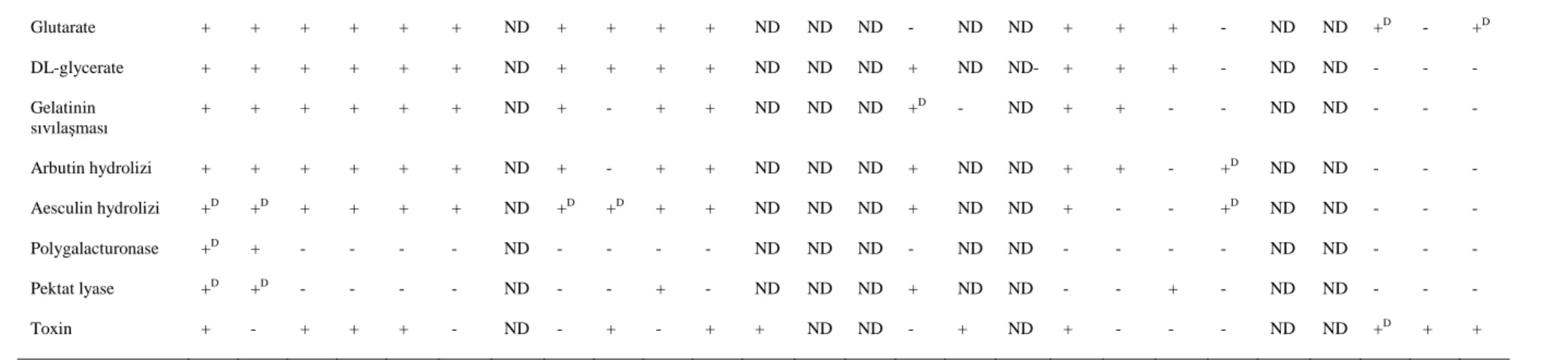 Çizelge 3. (Devam)  Glutarate   +  +  +  +  +  +  ND  +  +  +  +  ND  ND  ND  -  ND  ND  +  +  +  -  ND  ND  + D -  + D DL-glycerate  +  +  +  +  +  +  ND  +  +  +  +  ND  ND  ND  +  ND  ND-  +  +  +  -  ND  ND  -  -  -  Gelatinin  sıvılaşması   +  +  +  +