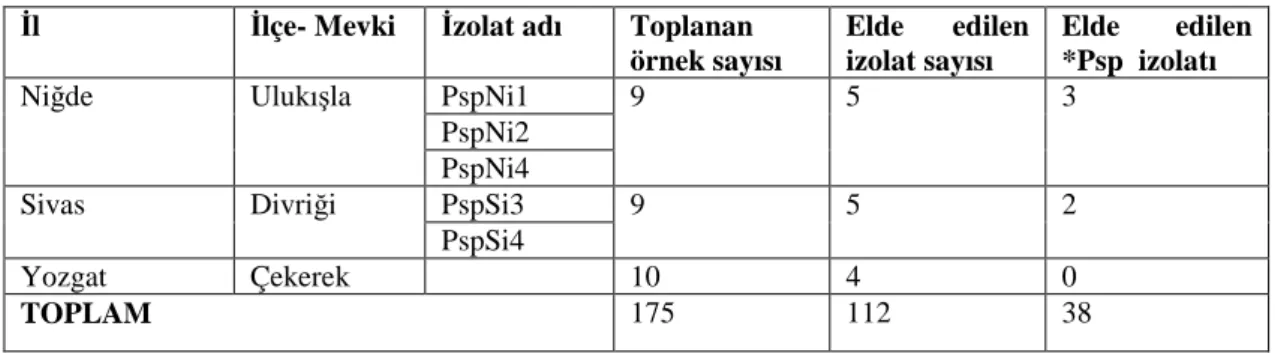 Çizelge  5.  Đç  Anadolu  Bölgesi’ndeki  örnekleme  yapılan  12  ilde    Pseudomonas  syringae pv