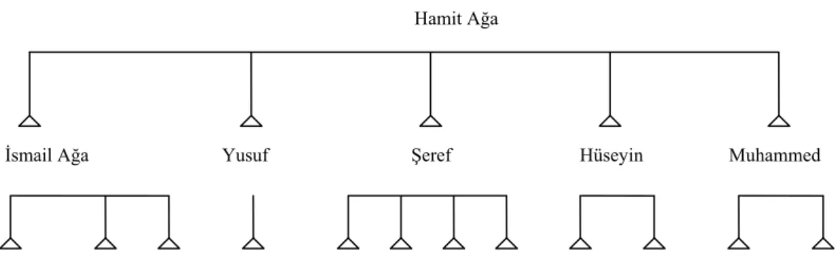 Şekil 2. Mala Hamit Ağa’nın kısmî soy ağacı 