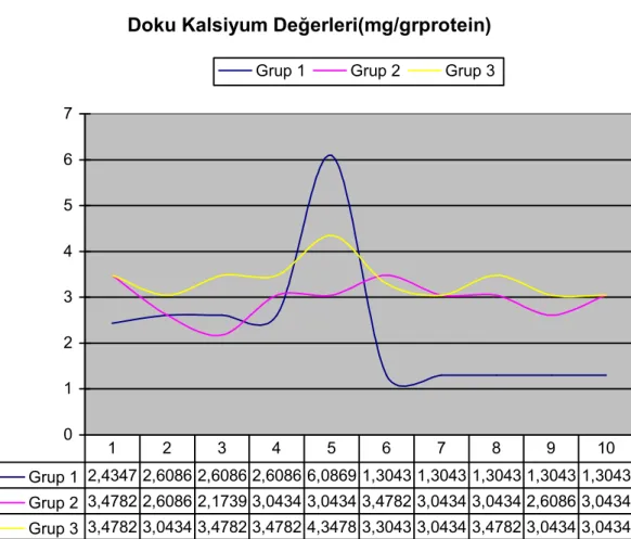 Grafik I: Doku Kalsiyum Değerleri 