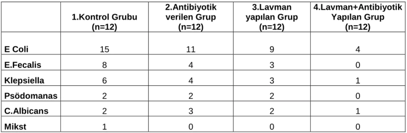 Tablo B.Bakteri üreyen kültür sayısı 