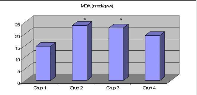 Tablo 9. Grupların MDA düzeyleri  (nmol/gww, Ort. ± SD)   MDA  Grup 1 (Sham, n=6)  14,78 ± 3,92  Grup 2 (Kontrol, n=6)  23,74 ± 2,52*  Grup 3 (Deks-80, n=6)  22,57 ± 7,41*  Grup 4 (Deks-320, n=6)  19,37 ± 2,48 