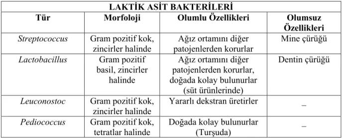 Tablo 2.1. Laktik asit bakterileri 