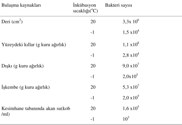 Tablo 1.  Kesimhande Mikrobiyal Bulaşma Kaynakları ve Farklı İnkübasyon Sıcaklığında  Mikroorganizma Sayıları 