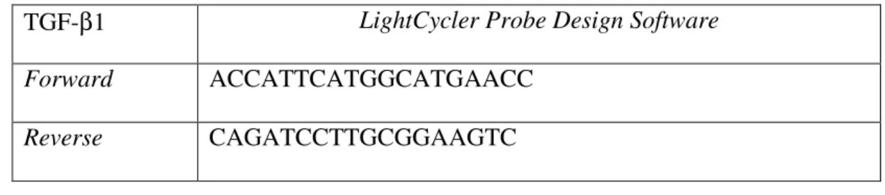 Tablo 1 : TGF-β1’in primer gen dizilimleri 