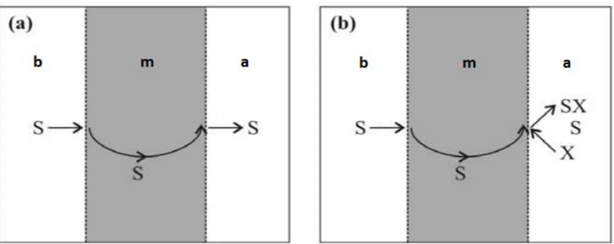 Şekil 1.8. (a) Basit transport ve (b) Alıcı fazda kimyasal reaksiyonla gerçekleşen basit transport