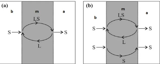 Şekil 1.10. Kolaylaştırılmış transport; (a) S türü membranda çözünmüyor ise (b) S türü membranda  çözünüyor ise (Saf, 2010; Hassoune ve ark., 2006)