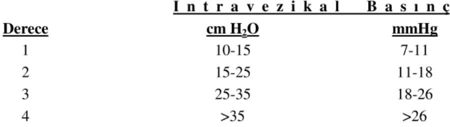Tablo 2.2: Burch ve ark(1996)’nın intravezikal ölçümlere göre İAH derecelendirmesi.  İ  n  t  r  a  v  e  z  i  k  a  l       B  a  s  ı  n  ç  Derece  cm H 2 O  mmHg  1  10-15  7-11  2  15-25  11-18  3  25-35  18-26  4  &gt;35  &gt;26 