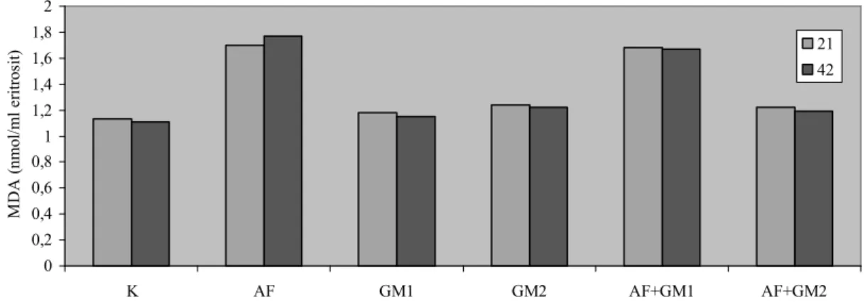 Grafik 4.1. Gruplara ve örnekleme zamanlarına göre MDA düzeyleri (nmol/ml eritrosit) 