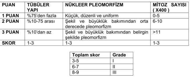 Tablo 2.1. Meme kanserlerinde Modifiye Elston ve Ellis Grade’leme şeması 
