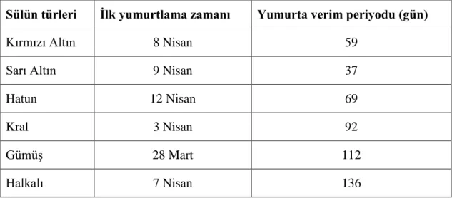 Çizelge  3.1.’de  denemede  kullanılan  sülün  türlerinin  ilk  yumurtaya  giriĢ  tarihleri ve yumurtlama süreleri ile ilgili bilgiler verilmiĢtir