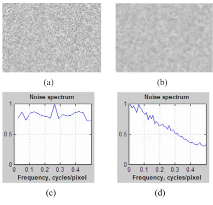 Şekil 2.3 (a)  İki  kat  büyütülmüş  beyaz  gürültü görüntüsü  (b) İki  kat büyütülmüş  bulanık                    gürültü   görüntüsü   (c)   Beyaz   gürültünün   spektrumu   (d)  Bulanık  gürültünün                  spektrumu    