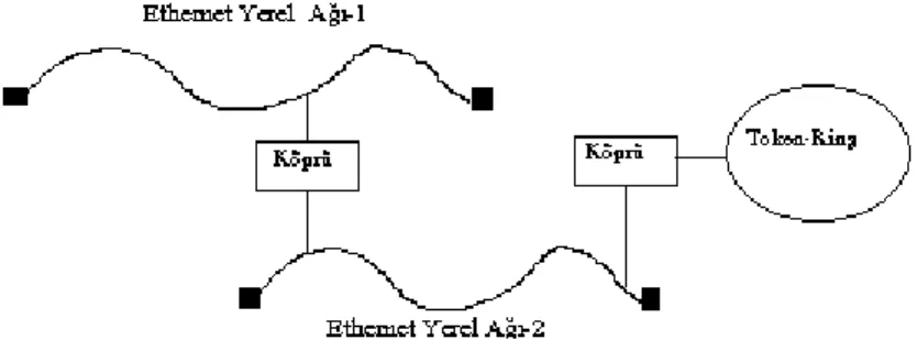 Şekil  3.5’de iki  Ethernet  ve  bir  Token-Ring  ağının  birbirlerine köprüler vasıtası  ile  yapılan  bağlantısı  gösterilmektedir