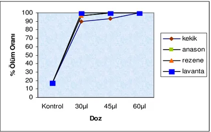 Şekil 4.3. Aphis craccivora’ya karşı Kekik, Anason, Rezene ve Lavanta Uçucu                                   yağlarının Fumigasyon Denemeleri 3.Gün Sonuç Grafikleri 