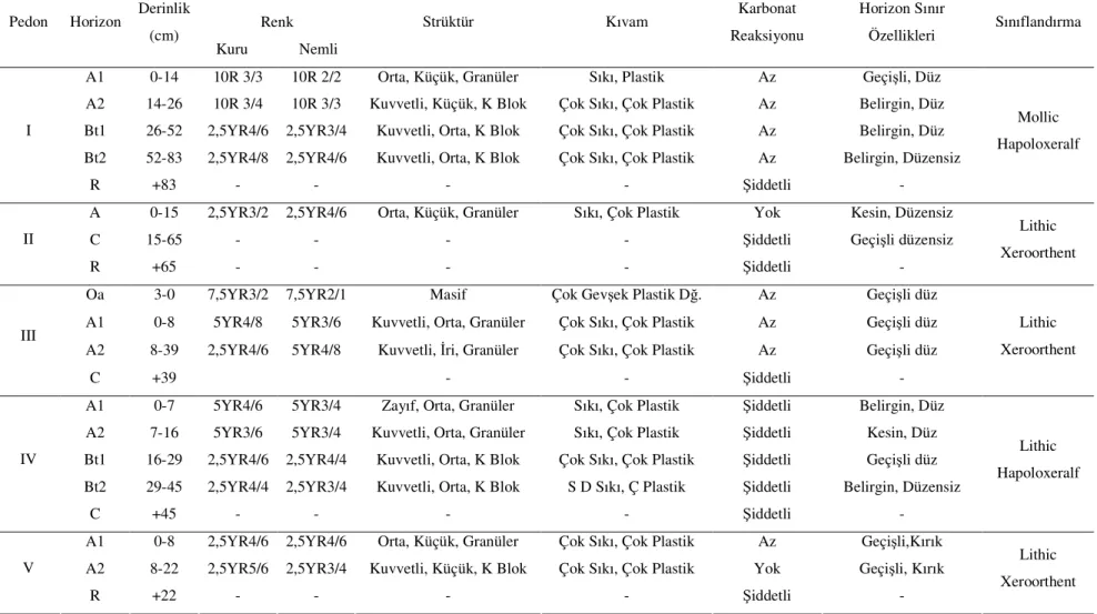 Tablo 4.1. Örnek Toprak Profillerine Ait Morfolojik Görünümler 