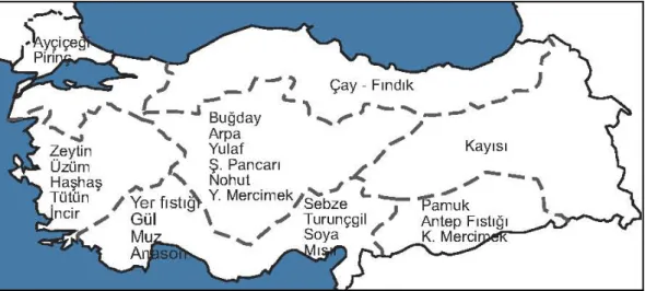 Şekil 2.2, Türkiye’deki tarımsal hammaddelerin kentlere göre dağılımı(Web iletisi 6) 