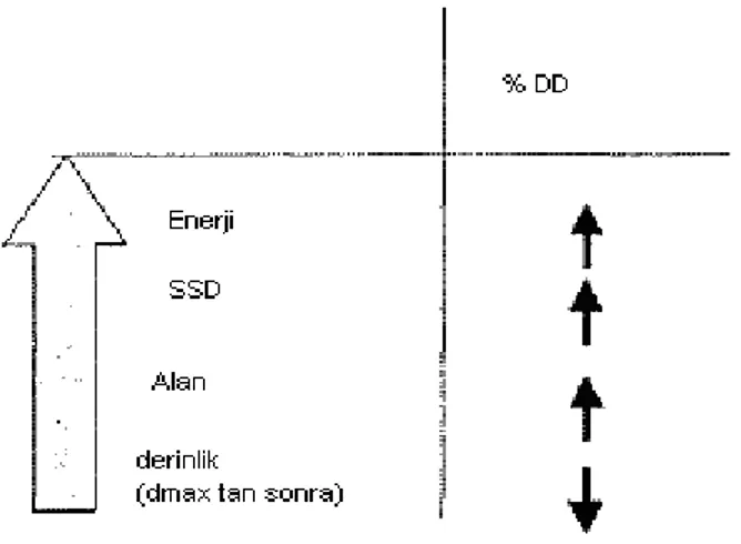 Çizelge  3.1  Yüzde  derin  dozun(%DD);  enerji,kaynak  cily  mesafesi(SSD),  alan  ve  derinlik artması ile değişimi  