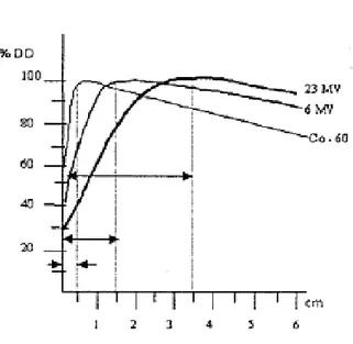 Şekil  3.3  Enerjinin  artması  ile  doz  maksimum  derinliği  artar  ve  boild-up  bölgesi  genişlediği görülmektedir