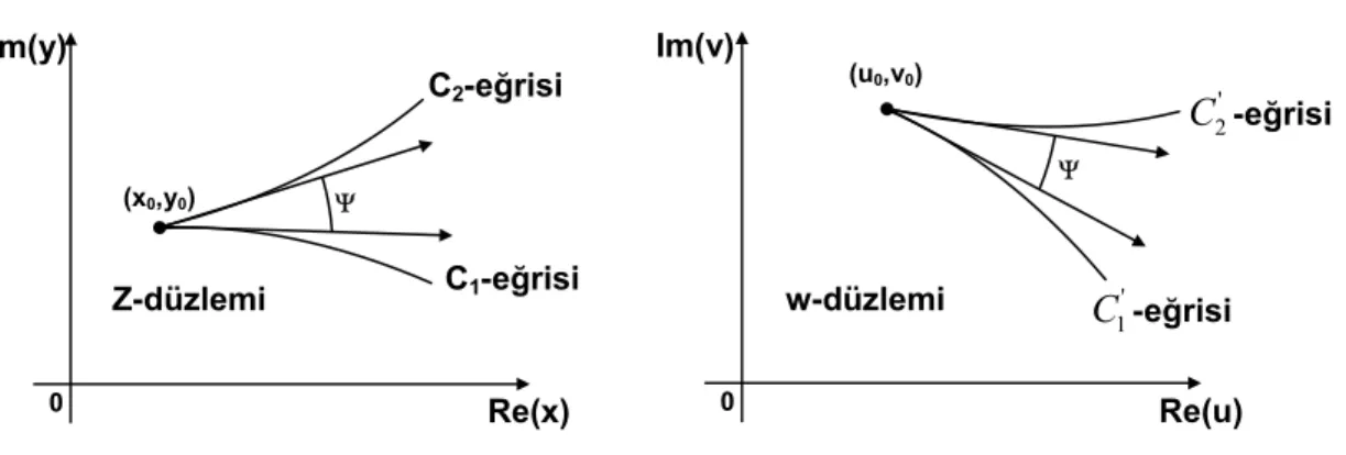 Şekil 3.3: Z- Düzlemindeki Eğrilerin W- Düzlemindeki Görüntüleri 