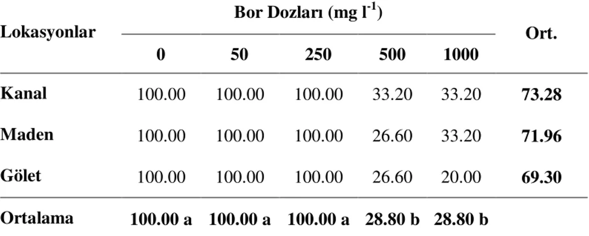 Çizelge 4.1. Farklı bor dozları içeren MS ortamında yetişen Puccinellia distans  (Jacq.) Parl’ın çimlenme yüzdeleri (%) 