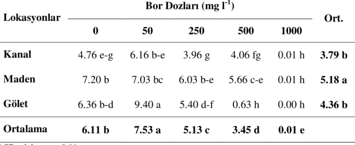 Çizelge  4.5.  Farklı  bor  dozları  içeren  MS  ortamında  yetişen  Puccinellia  distans       (Jacq.) Parl’ın 120 günlük fidelerinin ortalama kök boyları (cm)  