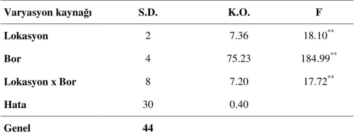 Çizelge  4.6.  Farklı  bor  dozları  içeren  MS  ortamında  yetişen  Puccinellia  distans  (Jacq.) Parl’ın 120 günlük  fidelerinin ortalama kök boylarına ait  varyans  analizi  