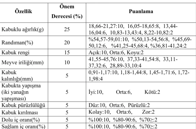 Çizelge 3.1. Kabuklu ceviz tartılı derecelendirme sistemi 