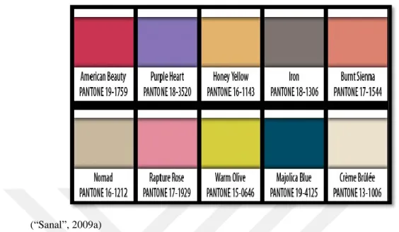 Şekil 6: 2009 Pantone kış sezonu renk dağılımları 