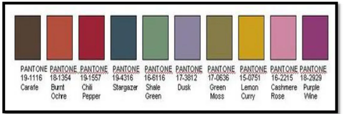 Şekil 8: 2007 Pantone kış sezonu renk dağılımları 