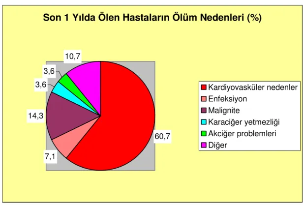 Tablo 19: Ölüm nedenleri 
