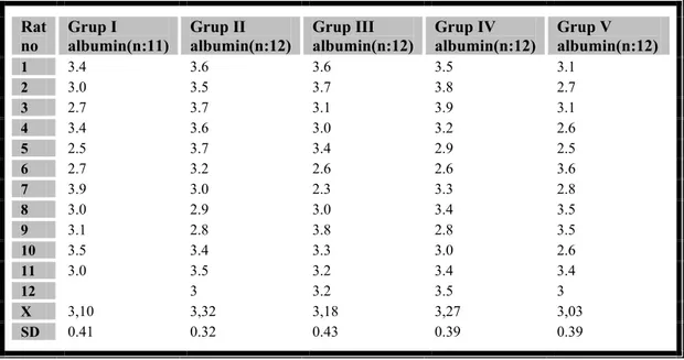 Grafik 7. Grupların albumin değerleri 