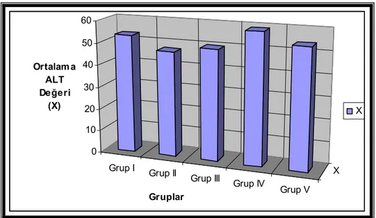 Grafik 9. Grupların ALT değerleri 