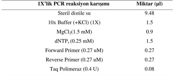 Çizelge  3.3.  PCR  reaksiyonunda  kullanılan  moleküler  biyoloji  hassasiyetindeki  kimyasallar ve miktarları 