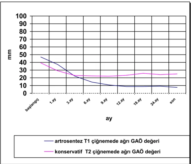 Grafik 4.13.  ÇA GAÖ  değeri ortalamalarının tedavi gruplarında aylara göre  değişimi 