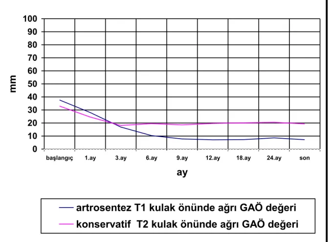 Grafik 4.17.  KÖA GAÖ  değeri ortalamalarının tedavi gruplarında aylara göre değişimi 